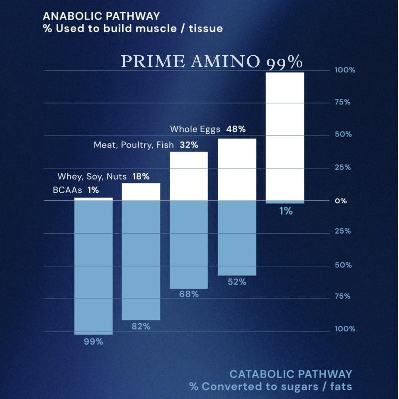 Prime Amino coated tablet container